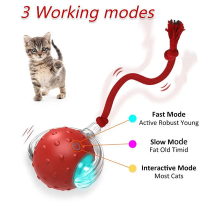 Engaging Automatic Cat Toy Ball - Fast Rolling & Chirping Fun for Indoor Cats!